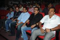 Celebrites at Yevadu Audio Launch